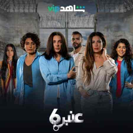 مسلسل عنبر 6 الحلقة 9 التاسعة