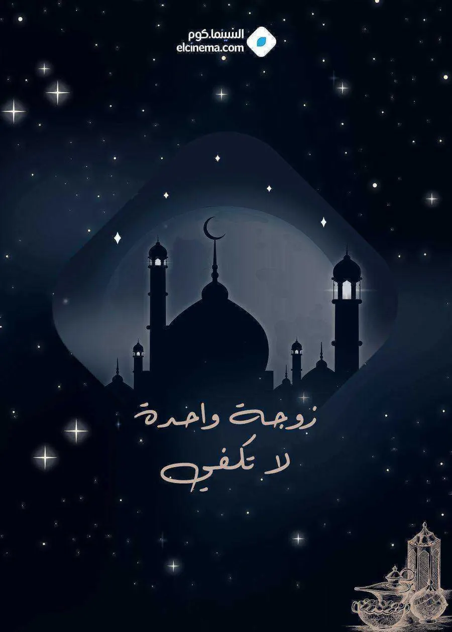 مسلسل زوجة واحدة لا تكفي الموسم الاول