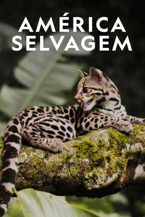مسلسل Wild Latam الموسم الاول مترجم