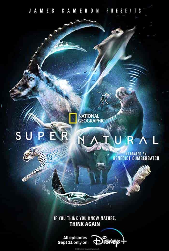 مسلسل Super Natural الموسم الاول مترجم