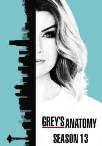 مسلسل Grey's Anatomy الموسم الثالث عشر الحلقة 9