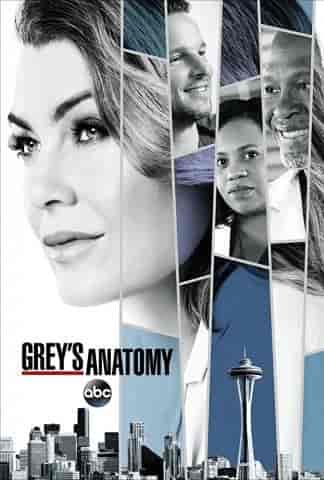 مسلسل Grey's Anatomy الموسم الرابع عشر الحلقة 9