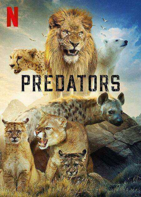 مسلسل Predators الموسم الاول مترجم