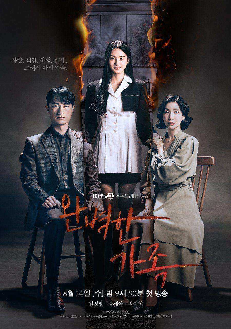 مسلسل Perfect Family الموسم الاول مترجم