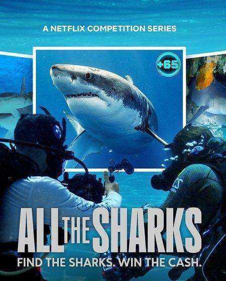 مسلسل All the Sharks الموسم الاول مترجم