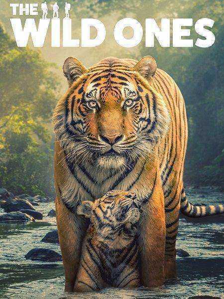 مسلسل The Wild Ones الموسم الاول مترجم