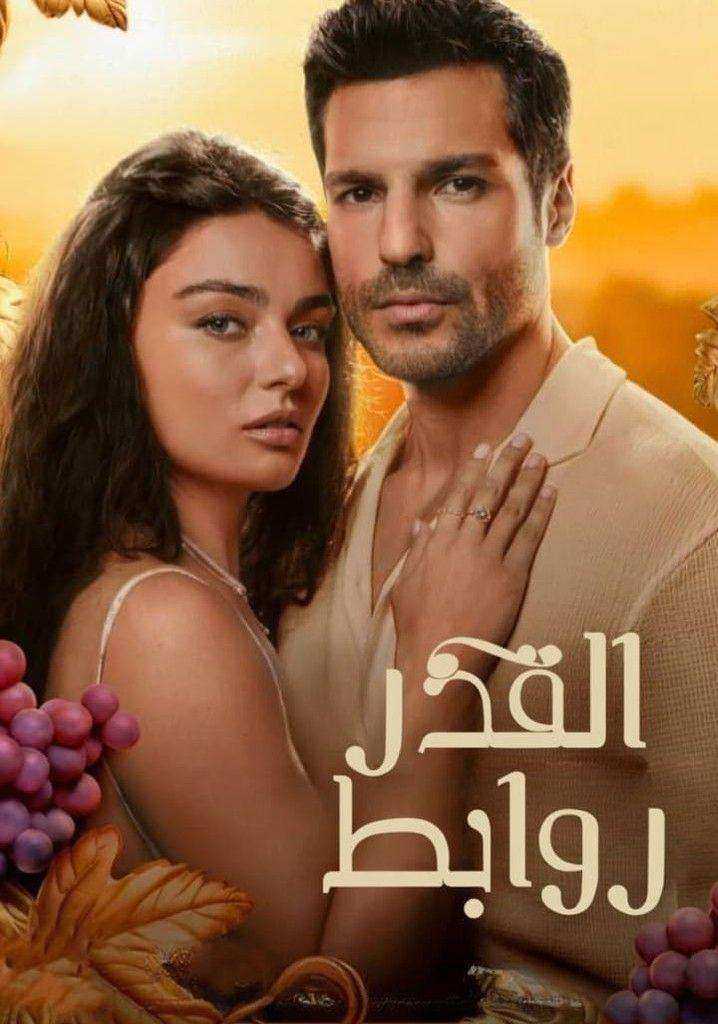 مسلسل روابط القدر الموسم الاول مدبلج